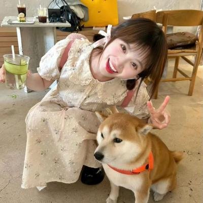 泰迪熊2